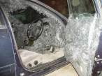 Furry car.jpg