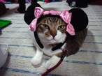 Minnie.jpg
