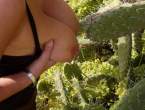 Cactus [18+].jpg