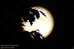 Moon.JPG