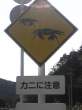 Warning.jpg