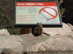 Keep Wildlife Wild.jpg