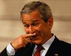 Bush.jpg