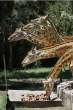 Giraffes.jpg