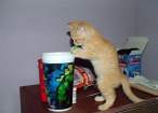 Drink.jpg