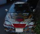 Tiger my ride.jpg