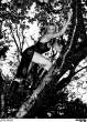 Peta Wilson1.jpg