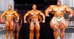 Steroids.jpg