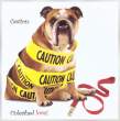 Caution.jpg