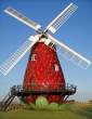 Strawberry.jpg