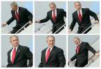 Bush.jpg