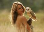 Owl.jpg