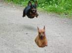 Jump.jpg