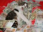 Money.jpg