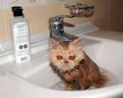 Wash.jpg