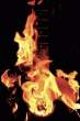 Fire.jpg