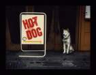 Hot Dog.jpg