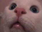 Look.jpg
