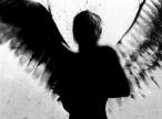 Angel.jpg