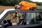 Good hunting.jpg