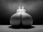 What an ass [18+].jpg
