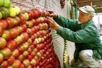 Apples.jpg