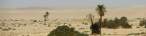 DSCF8387a.jpg