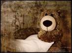 Teddy.jpg