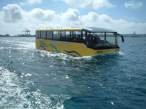 Water bus.jpg