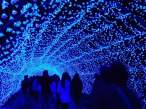 Blue lagune.jpg