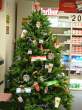 Adult Tree.jpg
