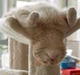 Relaxed.jpg