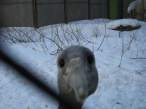 Hello.jpg