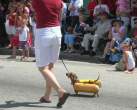 Hot Puppy Dog.jpg