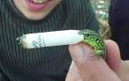 Smoking Lizard.jpg