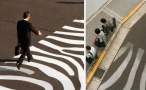 Zebra.jpg
