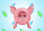 Pig.jpg