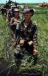 Cambodian mercenaries wade through a marsh at Boxoai, Vietnam, 1968..jpg