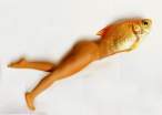 Fish.jpg