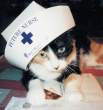 Nurse.jpg
