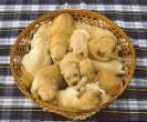 Lots of puppies.jpg