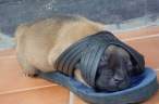 Slippers.jpg