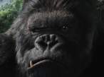 king kong (Medium).jpg