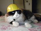 Worker.jpg