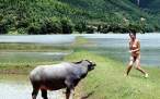 Bull [18+].jpg