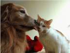 Lick.jpg