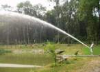 pissof.jpg