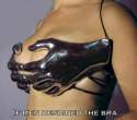 IfMenDesignedBras.jpg