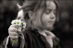 Flowers.jpg