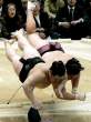 flying sumo.jpg